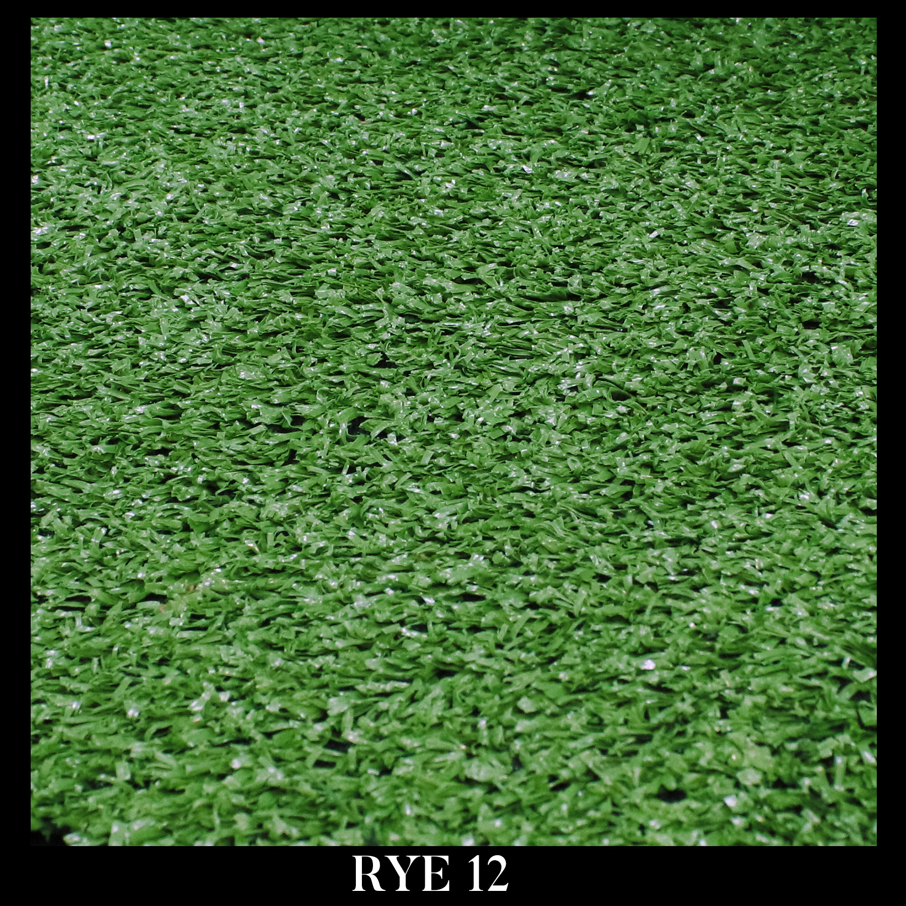 RYE 12